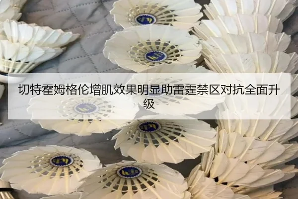 切特霍姆格伦增肌效果明显助雷霆禁区对抗全面升级